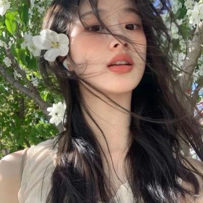 科搜研之女第24季