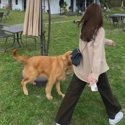 乌龙智慧管家